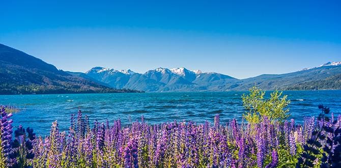 Patagonia quando andare: clima e periodo migliore | Turisanda