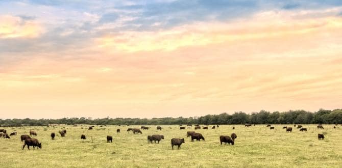 Pampa, Argentina | Turisanda
