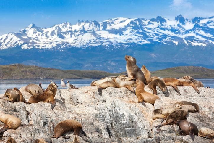 Ushuaia, Argentina I Turisanda