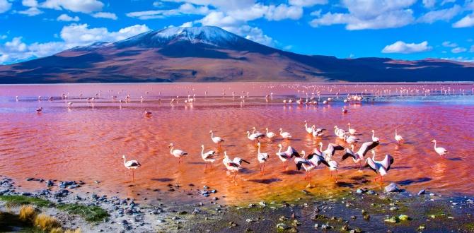 Laguna Colorada | Cosa vedere nel deserto di Atacama | Turisanda