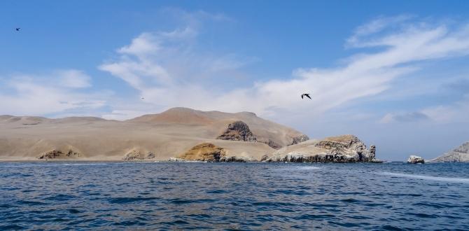Isole Palomino, Lima, Perù | Turisanda