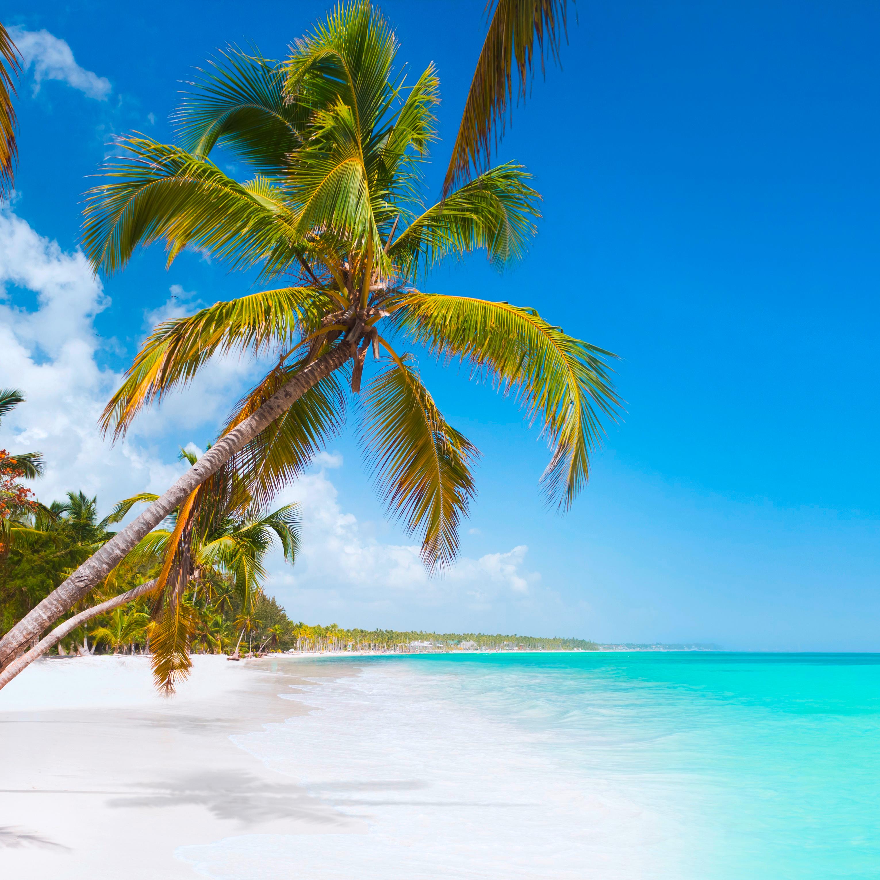 Punta Cana | Le 10 spiagge più belle della Repubblica Dominicana  