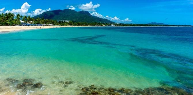 Playa Dorada | Repubblica Dominicana | Turisanda