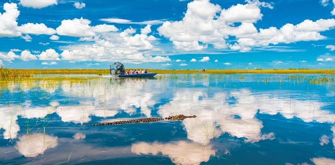 Parco di Everglades | Florida | Turisanda