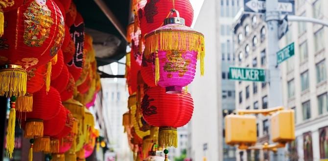 Chinatown, New York | Cosa Vedere | Turisanda