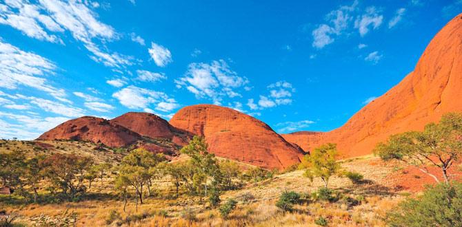 Paesaggio con sfondo di roccia rossa | Australia | Turisanda