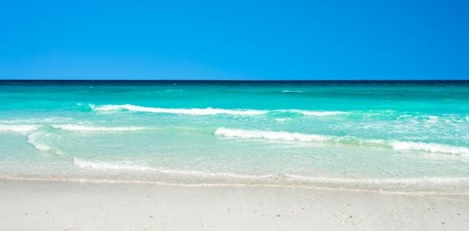  Saadiyat Beach, Abu Dhabi | Turisanda