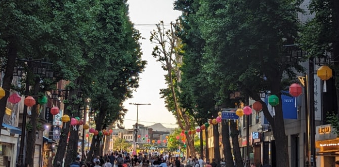 Insadong, Seoul, Corea del Sud | Turisanda