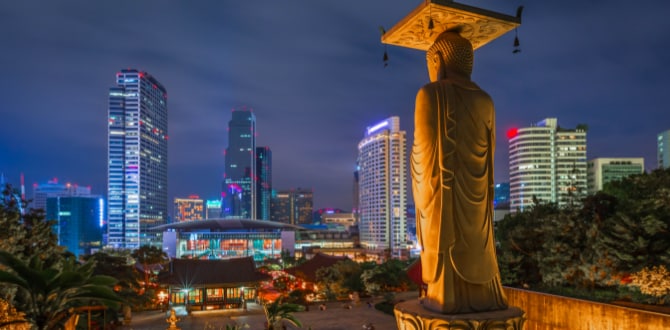 Gangnam, Seoul, Corea del Sud | Turisanda