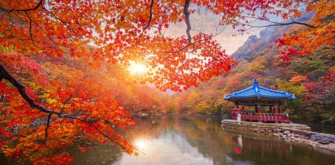 Parco Naejangsan, Corea del Sud | Turisanda