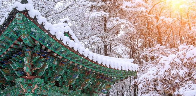 Gyeongbokgung con la neve, Corea del Sud| Turisanda