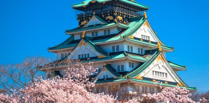 Castello di Osaka | Giappone | Turisanda