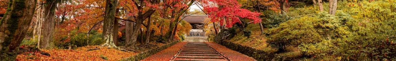 Foliage in Giappone: le migliori località per vederlo | Turisanda