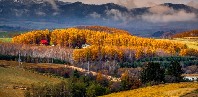 Foliage in Giappone | Turisanda