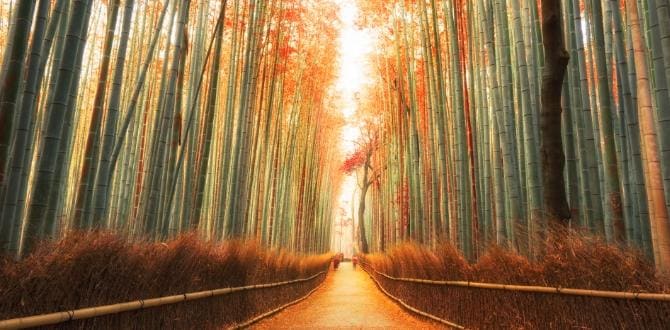 Kyoto, Giappone | Turisanda