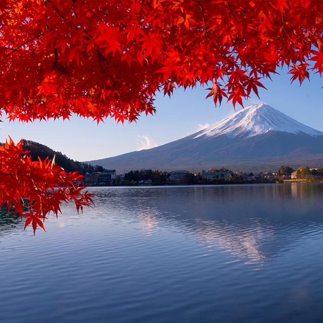 Giappone in primavera o autunno: quando visitarlo | Turisanda 