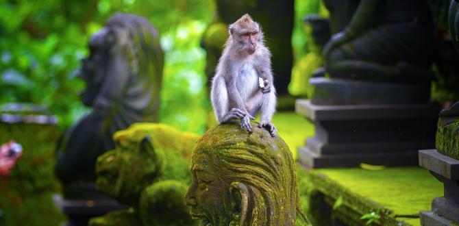 Foresta delle scimmie I Bali I Turisanda