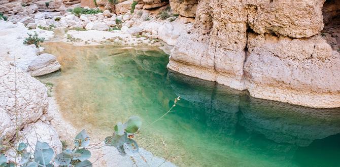 Viaggio in Oman: tour deserto e mare | Turisanda