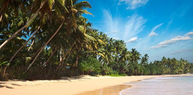 Spiaggia tropicale di sabbia bianca a Pasikuda | Sri Lanka | Turisanda