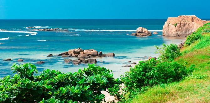 Scorcio sul mare cristallino e sulla vegetazione costiera | Sri Lanka | Turisanda