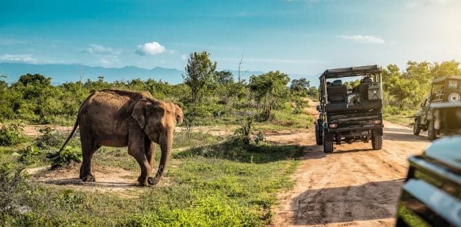 Safari in Sri Lanka  | Turisanda
