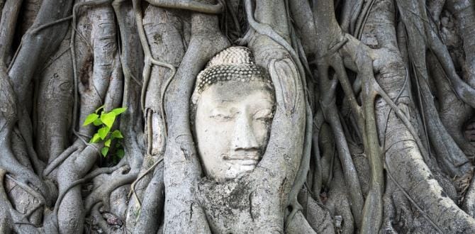 Wat Mahathat, Ayutthaya, Thailandia | Turisanda