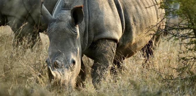 Kruger National Park, Sudafrica | Turisanda