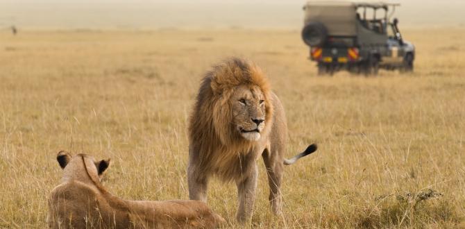 Masai Mara National Reserve, Kenya | Turisanda