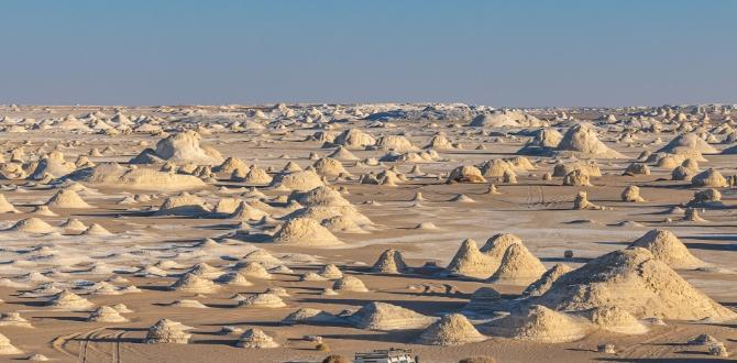 Deserto Bianco in Egitto | Turisanda