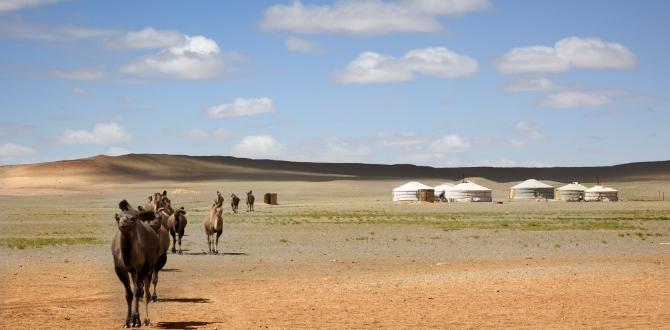 Deserto Gobi in Cina | Turisanda 