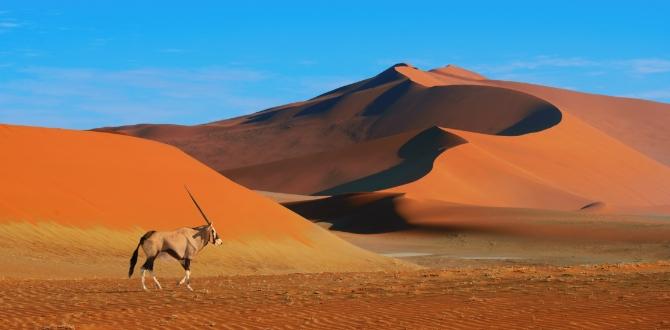 Namib in Namibia | Turisanda