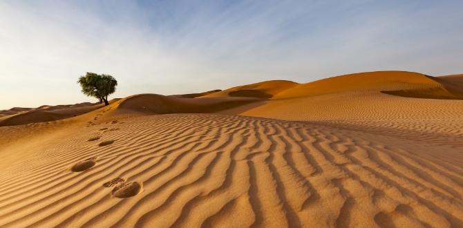 Wahiba Sands in Oman | Turisanda