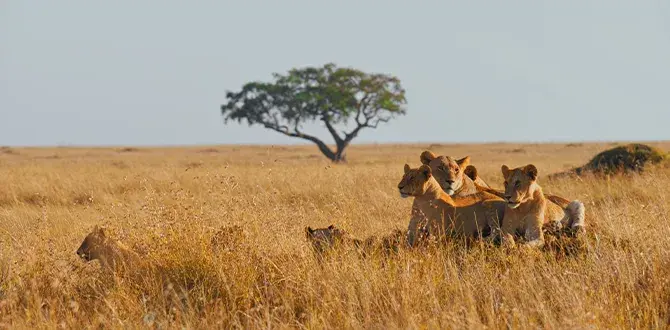 Dicembre al caldo in Kenya | Turisanda