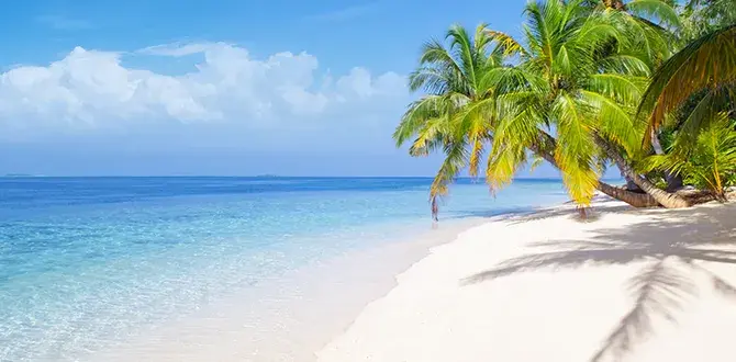 Dicembre alle Maldive | Turisanda