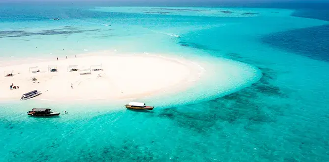 Zanzibar a dicembre | Turisanda