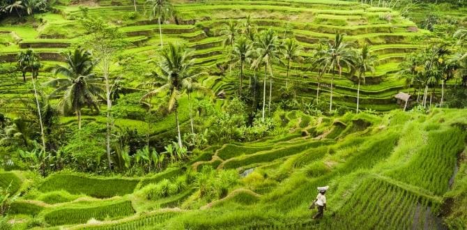 Bali | Turisanda 