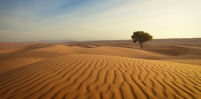 Oman | Turisanda 