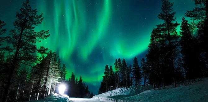 Aurora Boreale: quando e dove vederla | Turisanda