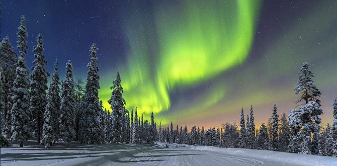 Quando andare in Lapponia: clima e periodo migliore | Turisanda
