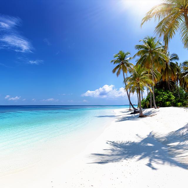 Meglio Mauritius o Maldive: quale meta scegliere | Turisanda 