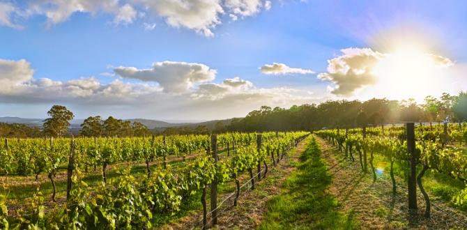 Margaret River, Australia | Turisanda 