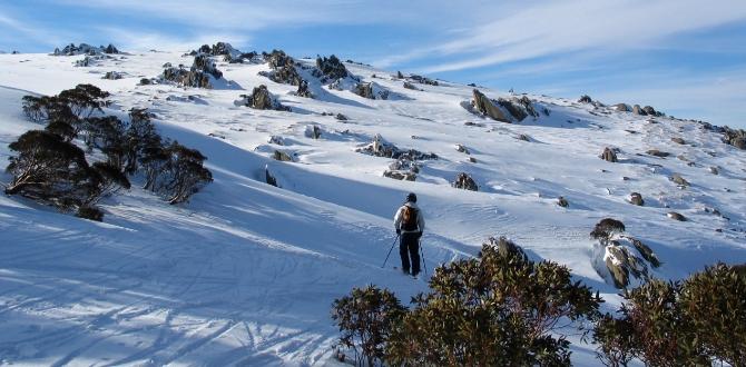 Snowy Mountains, Australia | Turisanda 