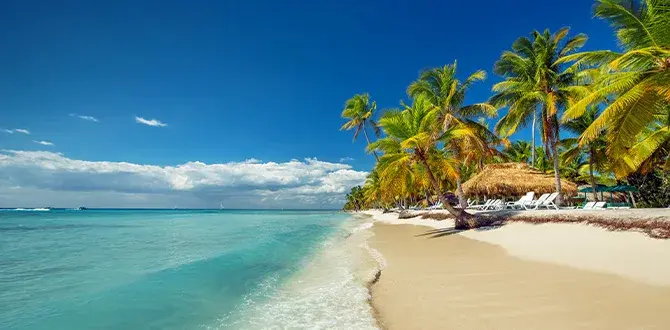 Ognissanti ai Caraibi | Turisanda