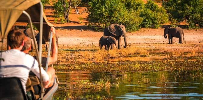 Famiglia di elefanti sul fiume Okavango in Botswana | Africa | Turisanda
