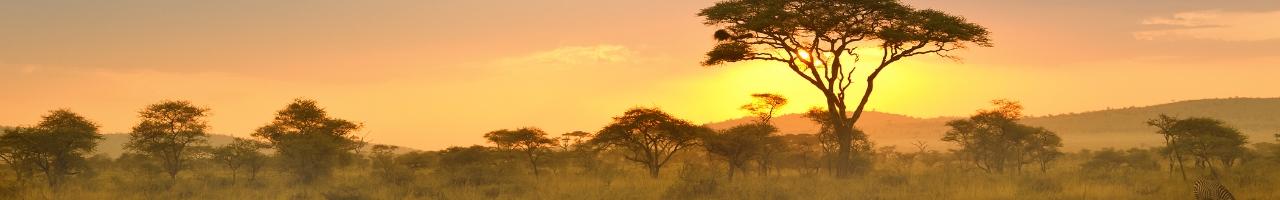 Alla scoperta dei siti UNESCO più belli da visitare | Turisanda