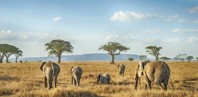 Parco Nazionale del Serengeti in Tanzania | Turisanda