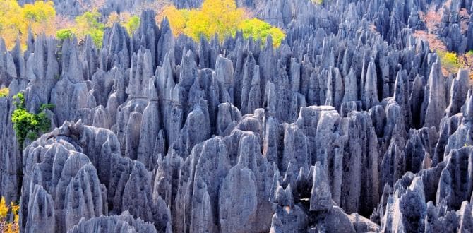 Tsingy di Bemaraha in Madagascar | Turisanda