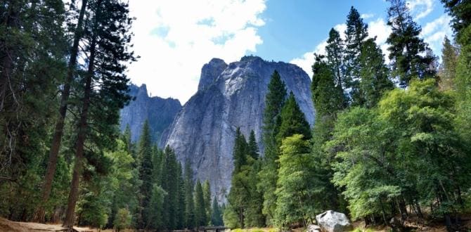 Parco Nazionale di Yosemite, Stati Uniti | Turisanda