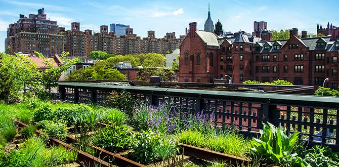 High Line Park | New York | Turisanda