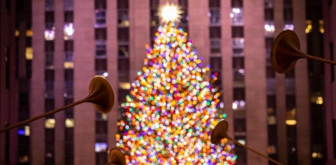 Albero di Natale del Rockefeller Center,  New York | Turisanda